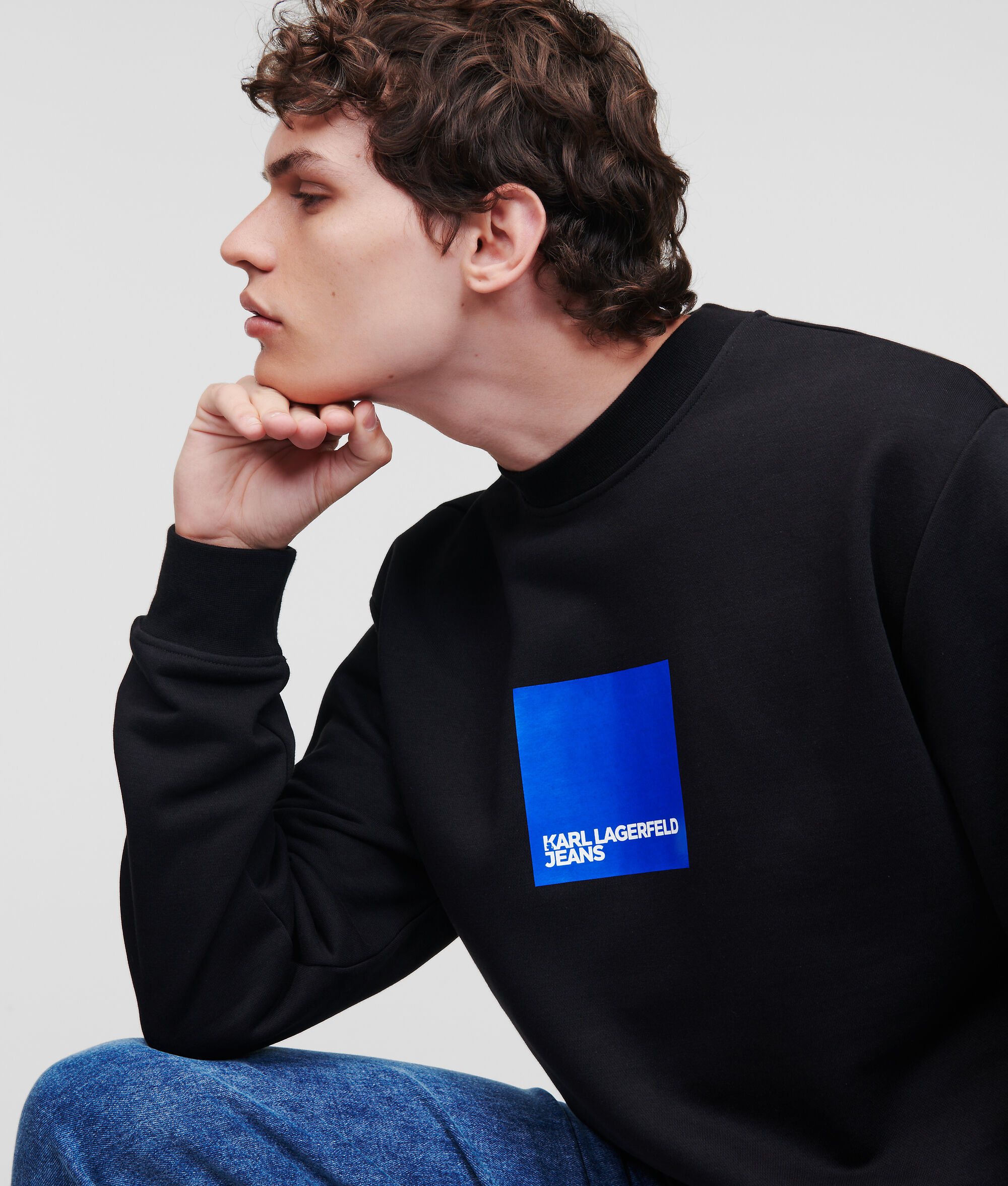 (image for) Delicious KLJ SWEATSHIRT